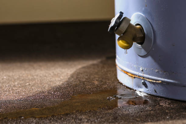 Best Water damage restoration near me  in Odon, IN