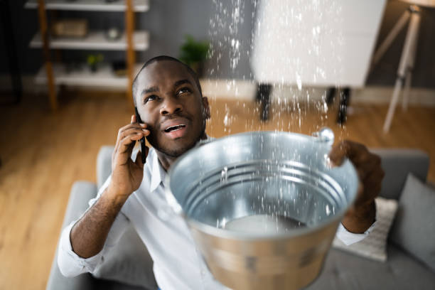 Best Water damage cleanup near me  in Odon, IN