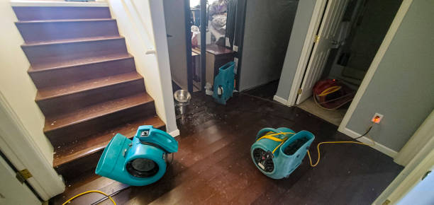 24/7 water damage repair in IN