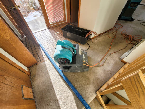 Best Carpet water damage restoration  in Odon, IN