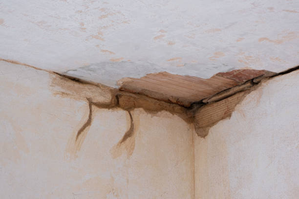 Best Sewage cleanup and water damage restoration  in Odon, IN