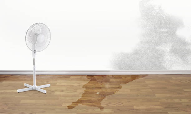 Best Fire Damage Restoration  in Odon, IN